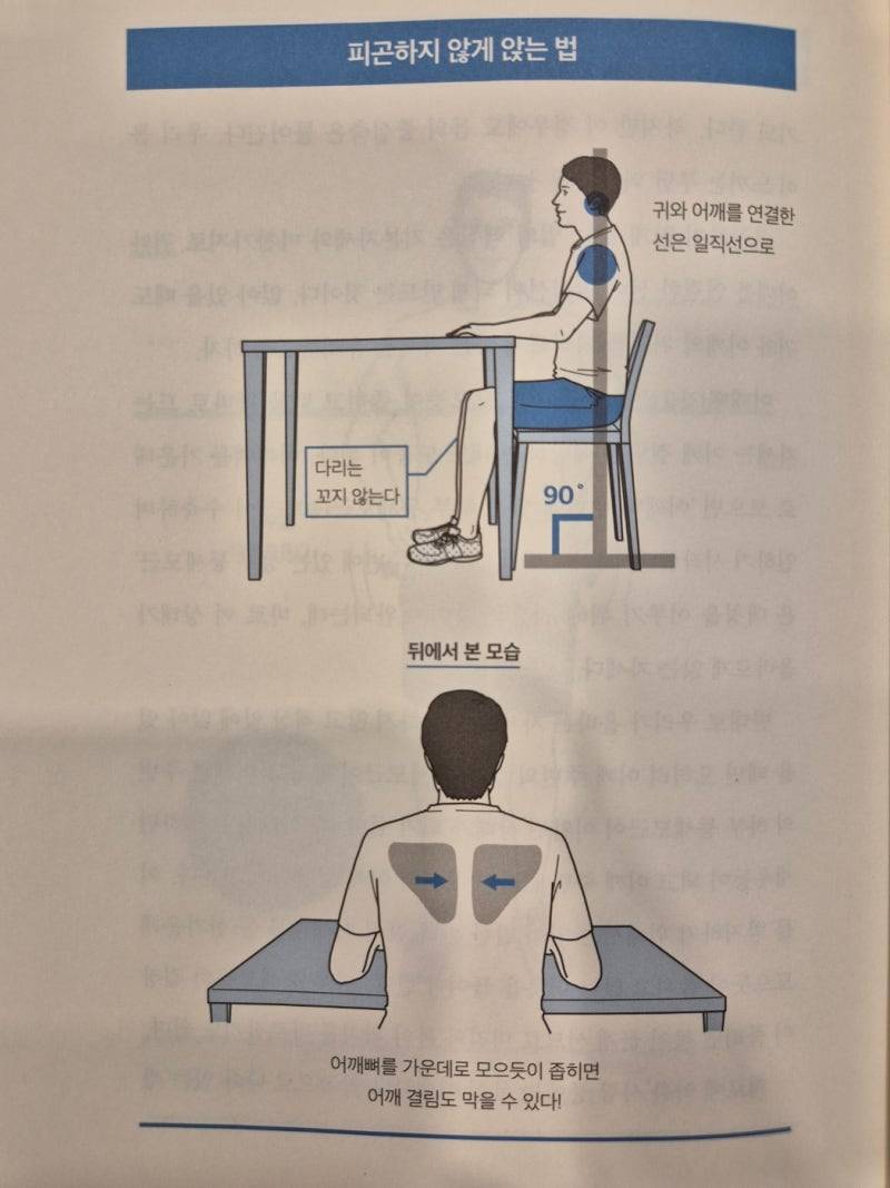 [잡담] 이렇게 올곧게 앉으려면 온 몸에 힘들 줘야하는데 | 인스티즈