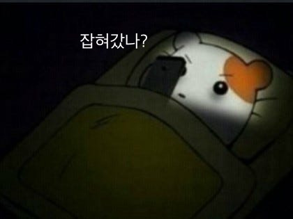 [잡담] 금요일부터 새벽마다 깨는거 이거 나잖아 ㅠㅠ | 인스티즈