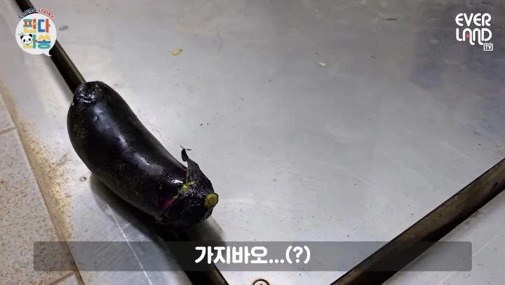 [잡담] 가지라는 야채는 푸바오도 싫어한다 이말이야 ㅋㅋㅋㅋㅋ | 인스티즈