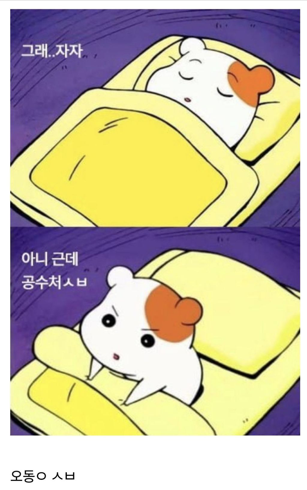 [잡담] 금요일부터 새벽마다 깨는거 이거 나잖아 ㅠㅠ | 인스티즈