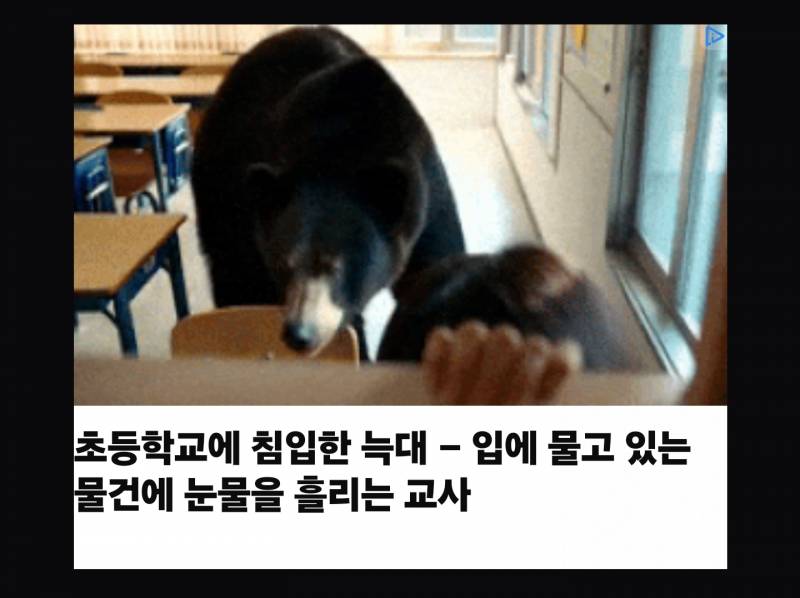 [잡담] 인기글 아래에 뜨는 광고가 말이 안돼 | 인스티즈