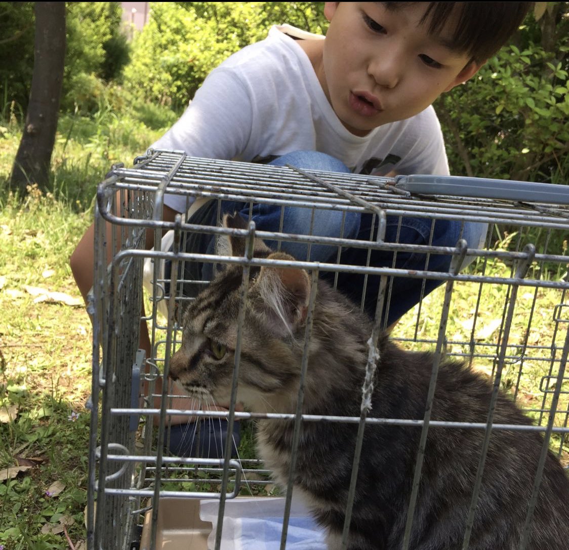 [잡담] 킥플립 케이주 과사 죵ㅇ나 기여움 | 인스티즈