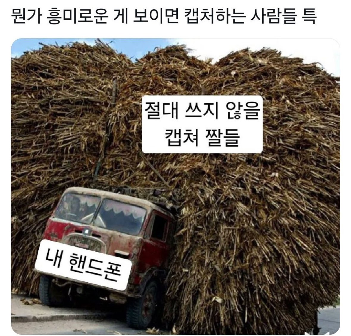 [잡담] 나만 이런거 아니지? 이런 사람들 손 좀 들어줘봐 | 인스티즈