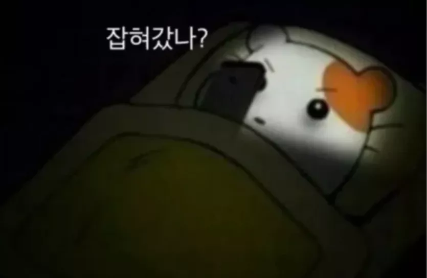 [잡담] 잡혀갔나? | 인스티즈