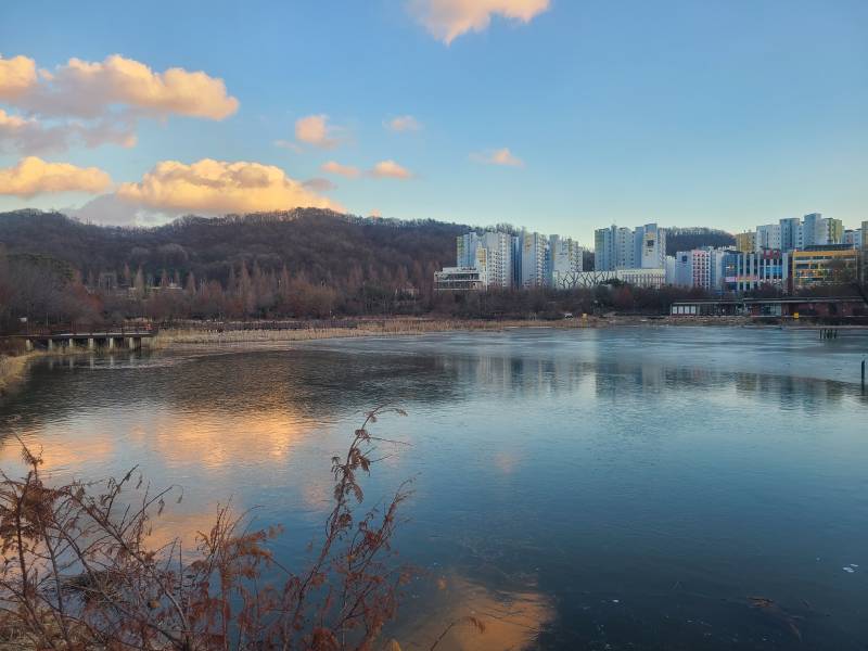 [잡담] 호수 물 다 언거봐ㄷㄷ 보기만해도 너무 추워... | 인스티즈