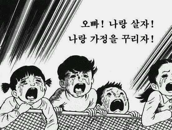 [잡담] 아니; 앤톤이가 우리집 고양이되고싶다는데❓ | 인스티즈