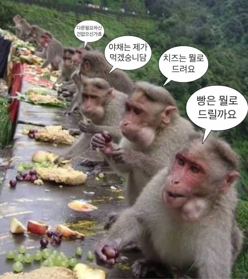 [잡담] 랜덤짤 | 인스티즈