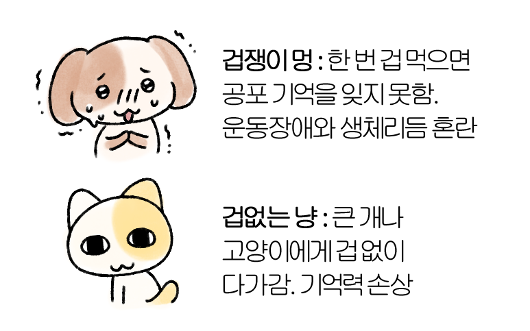 [잡담] 묘냥이랑 멍구 너무 귀여워.....ㅠㅠㅠㅠㅠ | 인스티즈