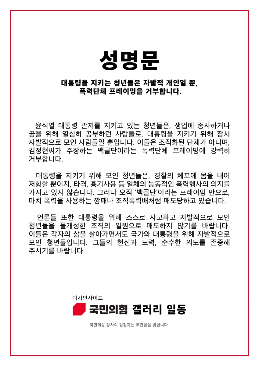 [정보/소식] 2030청년 백골단을 폭력단체로 프레이밍 하지 말라는 국힘갤러리 | 인스티즈