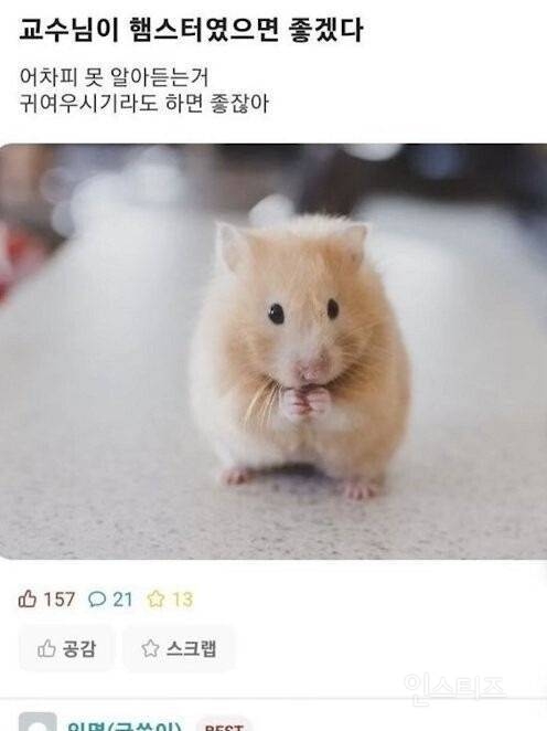 이별의 속도가 빨라서 키우지 말라는 동물.jpg | 인스티즈