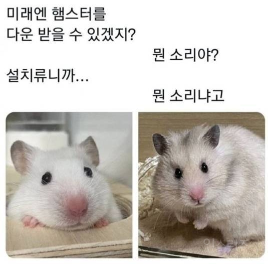 이별의 속도가 빨라서 키우지 말라는 동물.jpg | 인스티즈