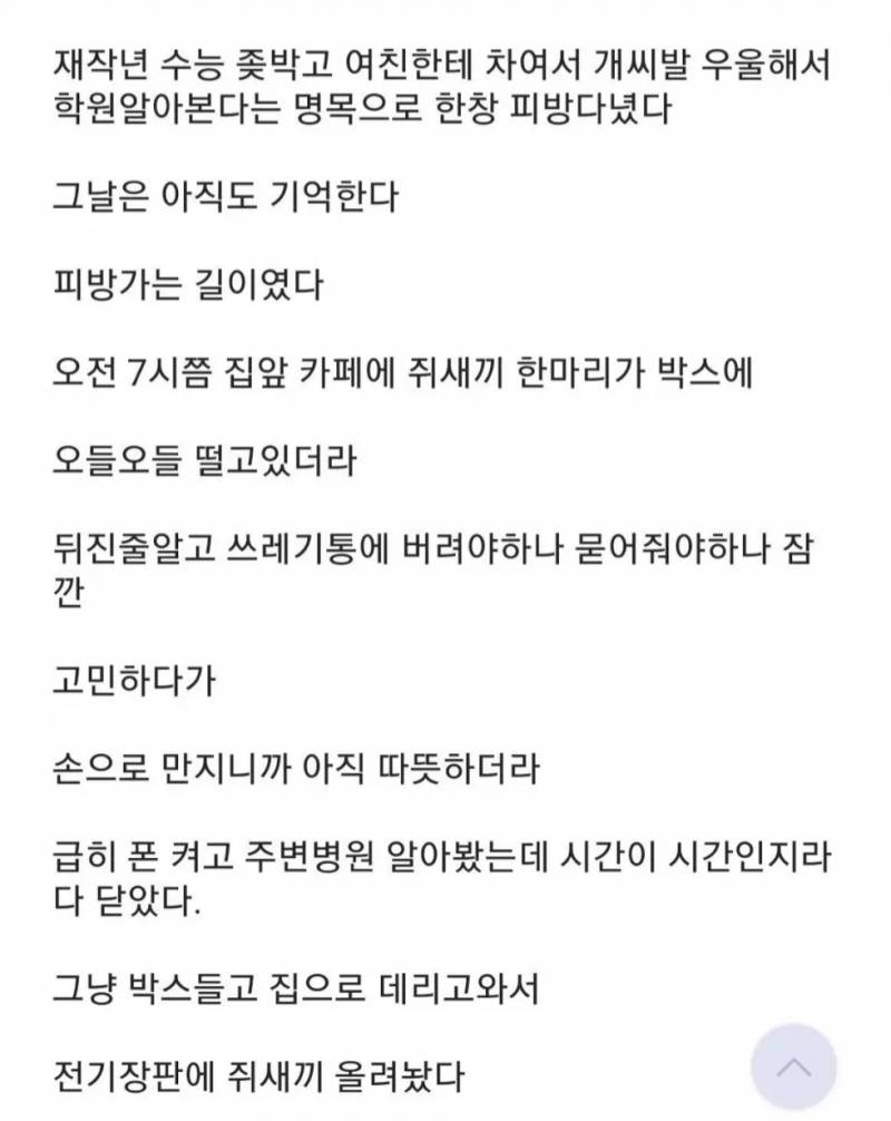 [잡담] 정 많은 사람은 햄스터 키우지 말라고 하더라 | 인스티즈