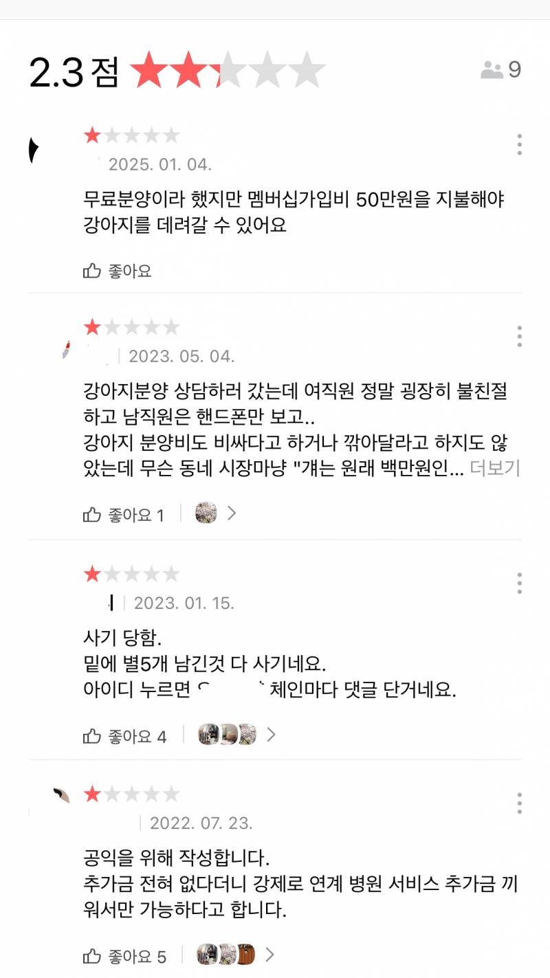 [잡담] 파양된 강아지 입양글 올리는 인스타가 차단함ㅋㅋㅋ (사진O) | 인스티즈