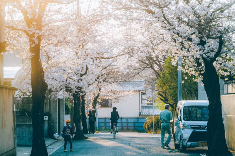 [잡담] 일본 살때 사소한거 찍는게 취미였는데 | 인스티즈