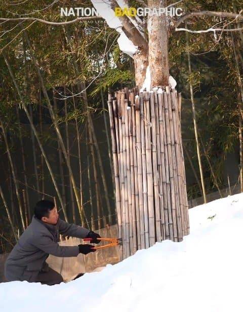 [잡담] 아이바오 참 똑똑한 거 같아 | 인스티즈