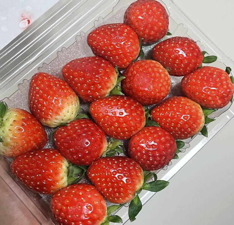 [잡담] 6천원으로 세상을 가졌어 🍓 | 인스티즈