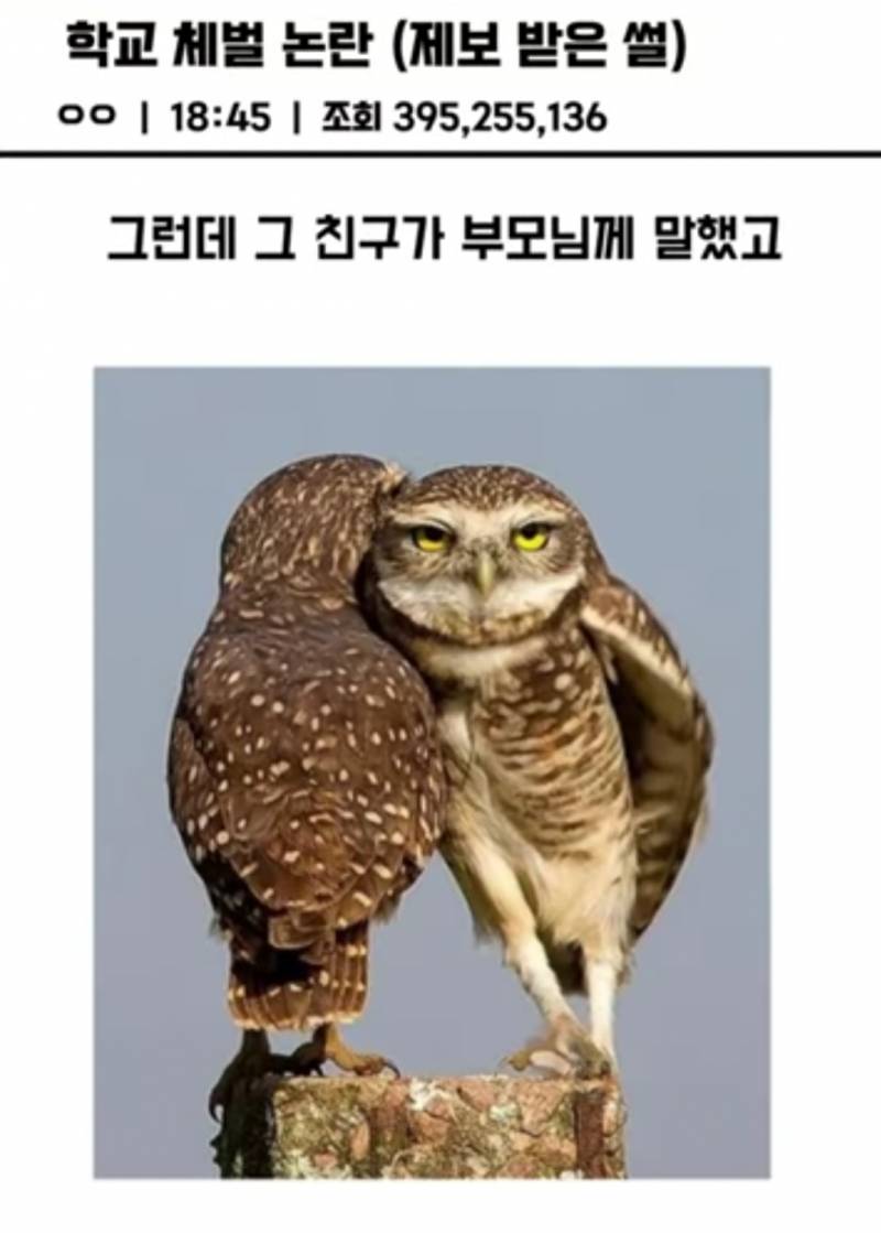 [잡담] 현 30대의 과거 학교체벌 레전드 | 인스티즈