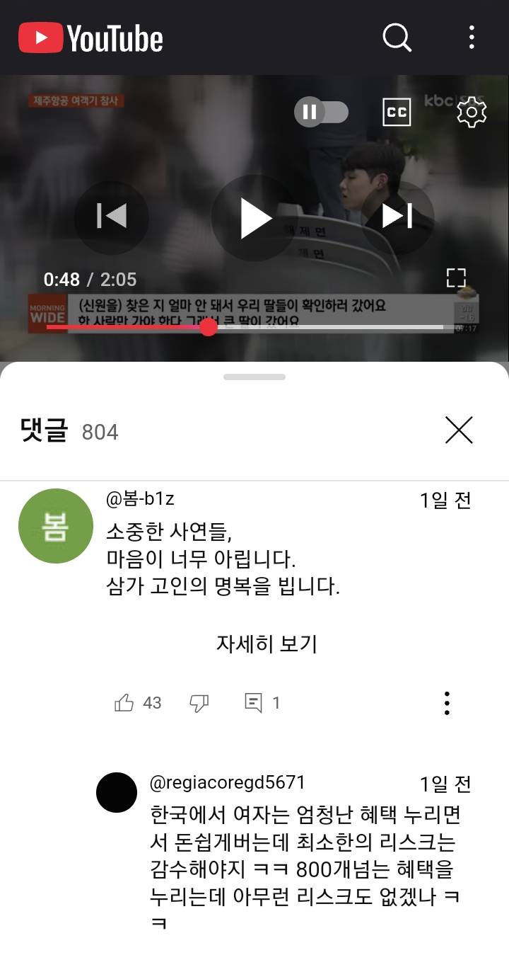 [잡담] 이런 댓글도 제주항공 유가족 욕한 댓글임? | 인스티즈