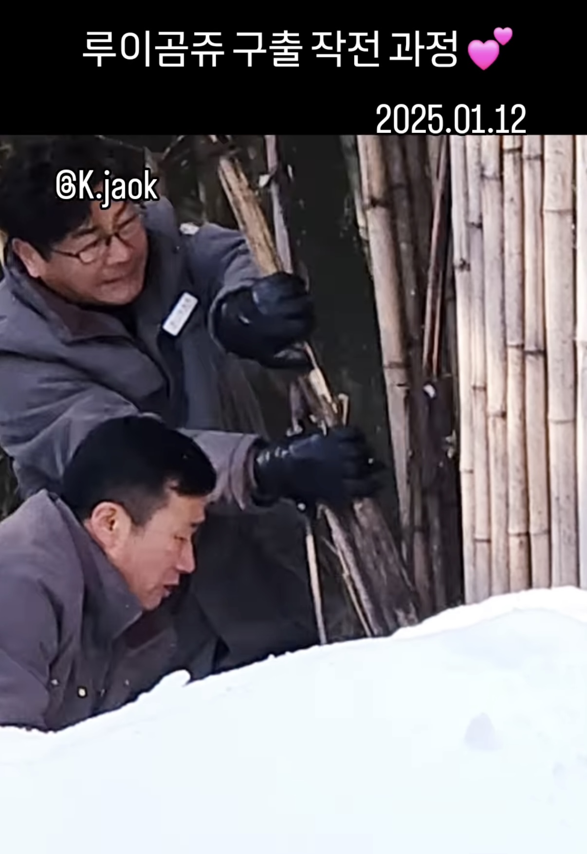 [잡담] 어제 루이바오 완전 사고쳤구나 ㅋㅋㅋ 진짜 큰일날뻔 했음.. 다들 심장 철렁했겠다 | 인스티즈