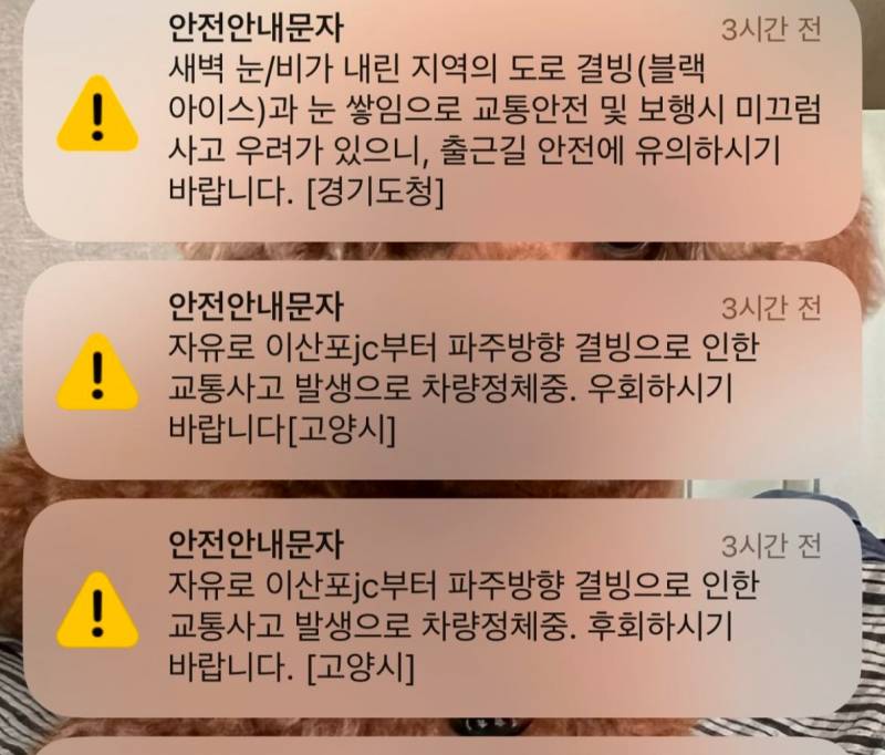 [잡담] 오늘 고양시 안전안내문자 오타 개웃기다 ㅋㅋ | 인스티즈