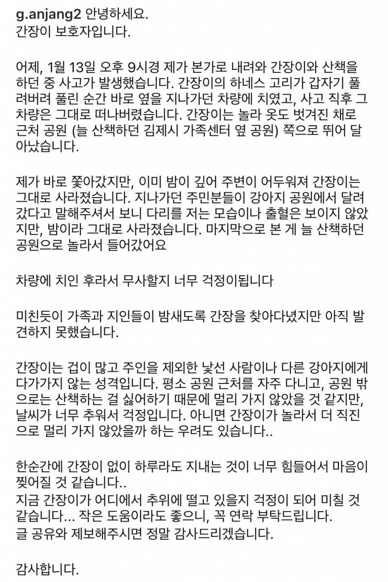 🛑 간장이(강아지)를 찾습니다 🛑 | 인스티즈