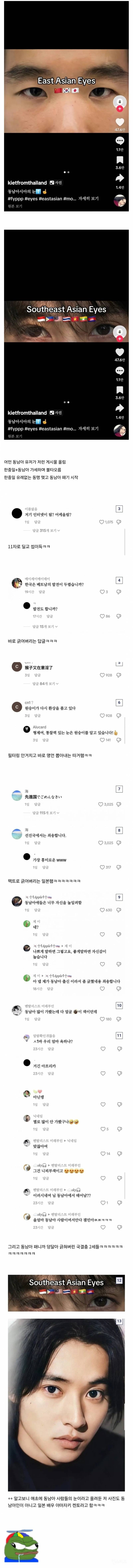 틱톡에서 동양인 인종차별로 한일중 동맹이 생긴 이유.jpg | 인스티즈