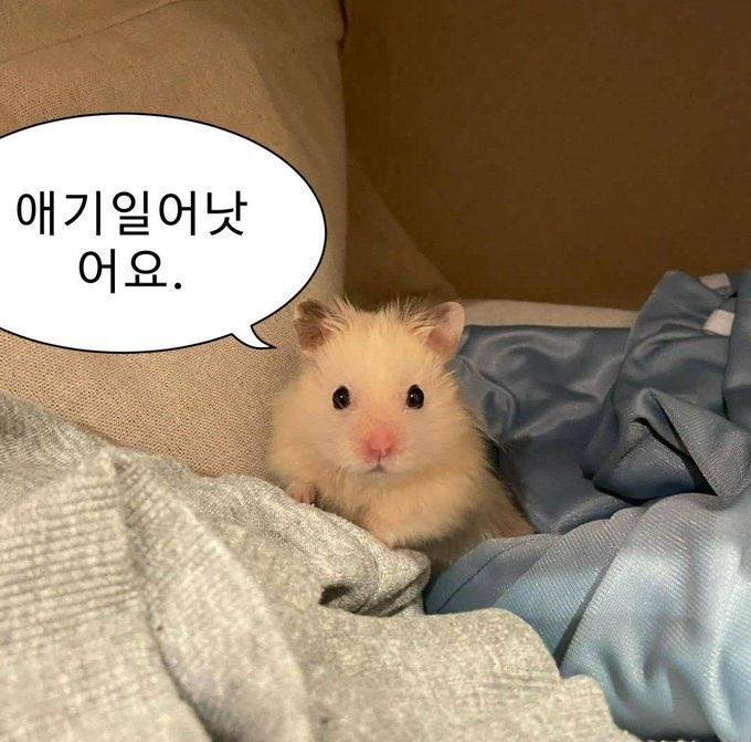 [잡담] 간호익들 있어? 궁금한거 있어서! | 인스티즈