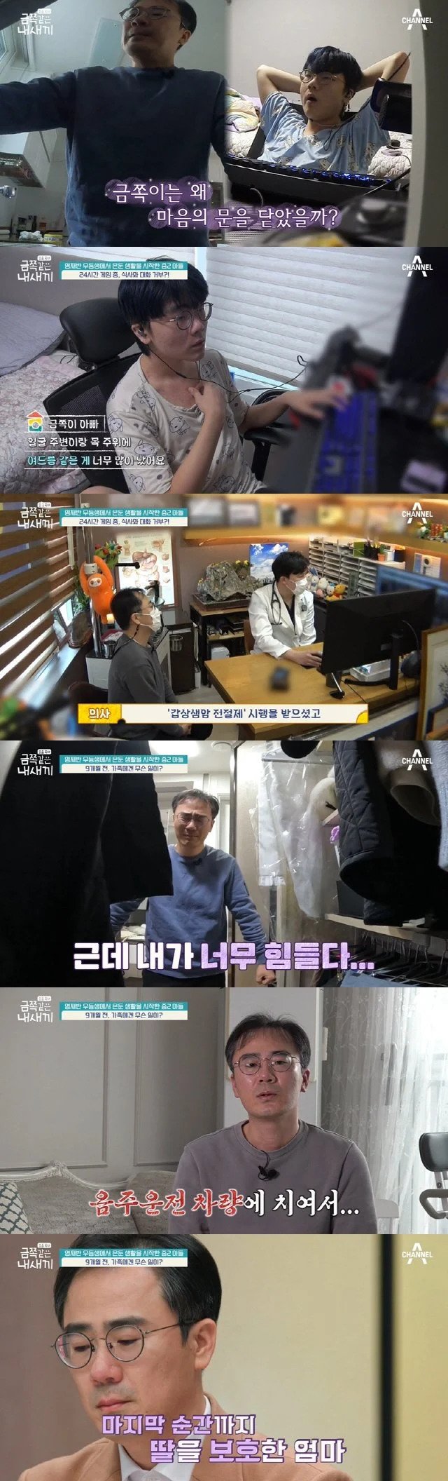 역대 금쪽이 방송중 가장 슬펐던 회차.jpg | 인스티즈