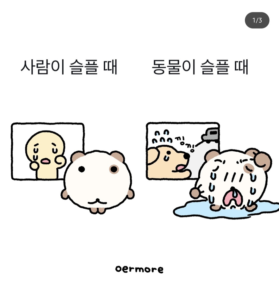 [잡담] ㅋㅋㅋㅋㅋ이거개공감 | 인스티즈