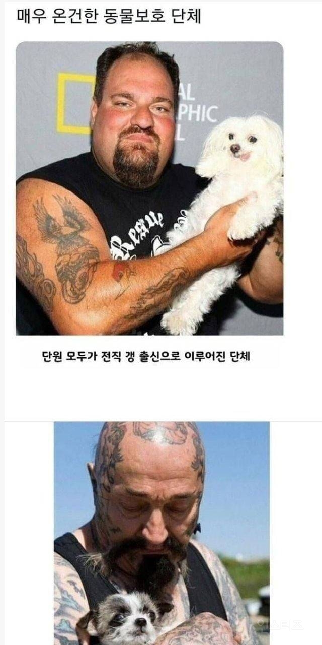 매우 온건한 동물 보호 단체 | 인스티즈