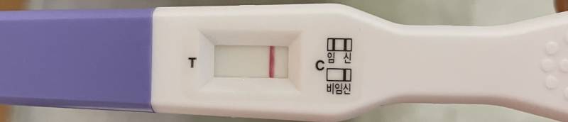 [잡담] 임신테스트기 이러면 확실한 거 맞지..? | 인스티즈