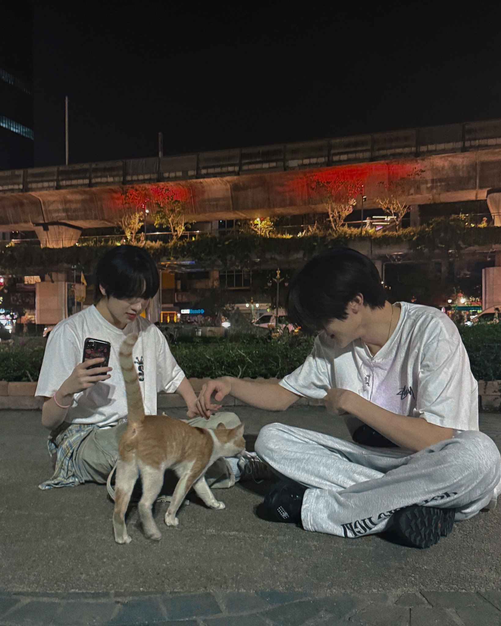 [잡담] 어제 시온이가 올려준 고양이다 | 인스티즈