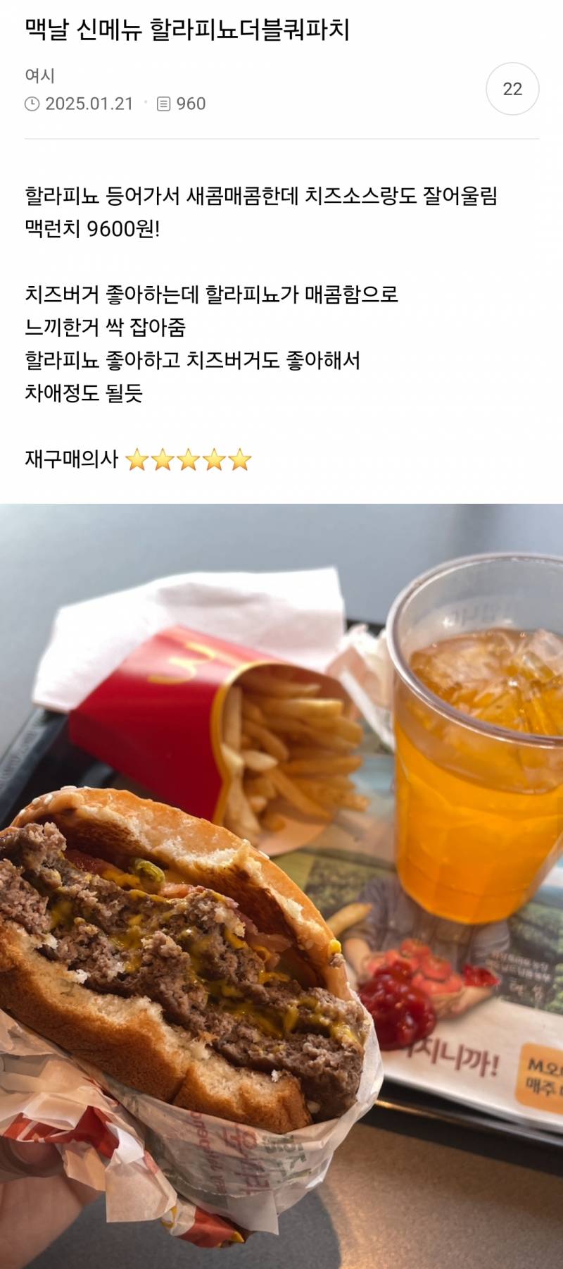 현재 여론 𝙅𝙊𝙉𝙉𝘼 뜨거운 맥도날드 신메뉴.JPG | 인스티즈