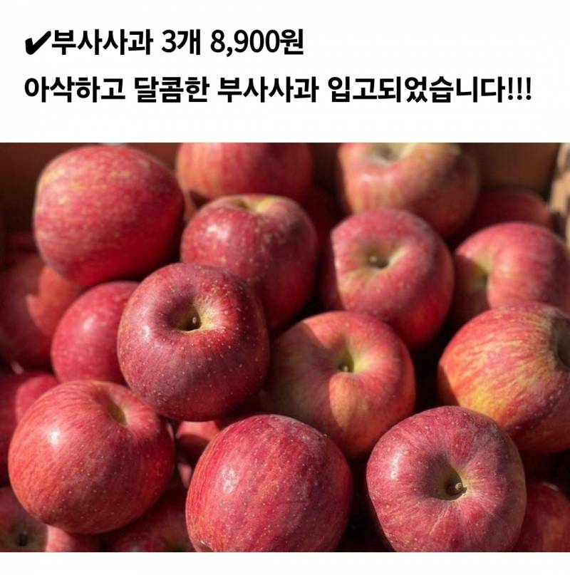 [잡담] 제수용 사과랑 부사 사과 뭐가 더 맛있는 거야? | 인스티즈