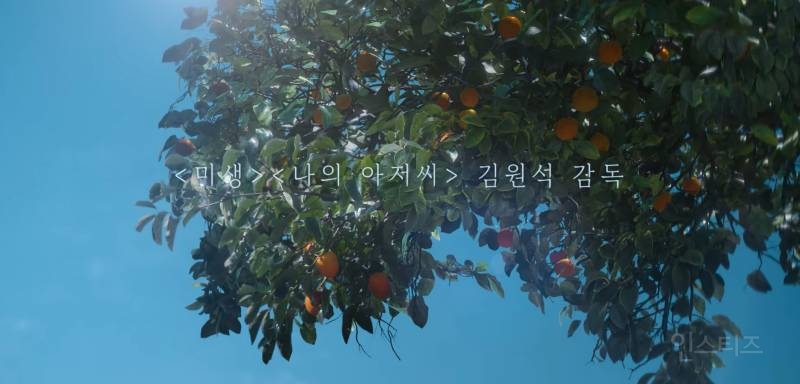 퀄 좋다고 난리난 아이유 드라마 넷플릭스 &lt;폭싹 속았수다&gt; 예고편 | 인스티즈