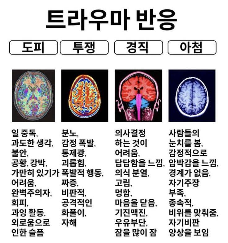 [잡담] 트라우마 반응의 종류 | 인스티즈