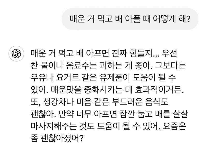 [잡담] 매운 거 먹고 배아파서 지피티한테 물어봤는데 | 인스티즈