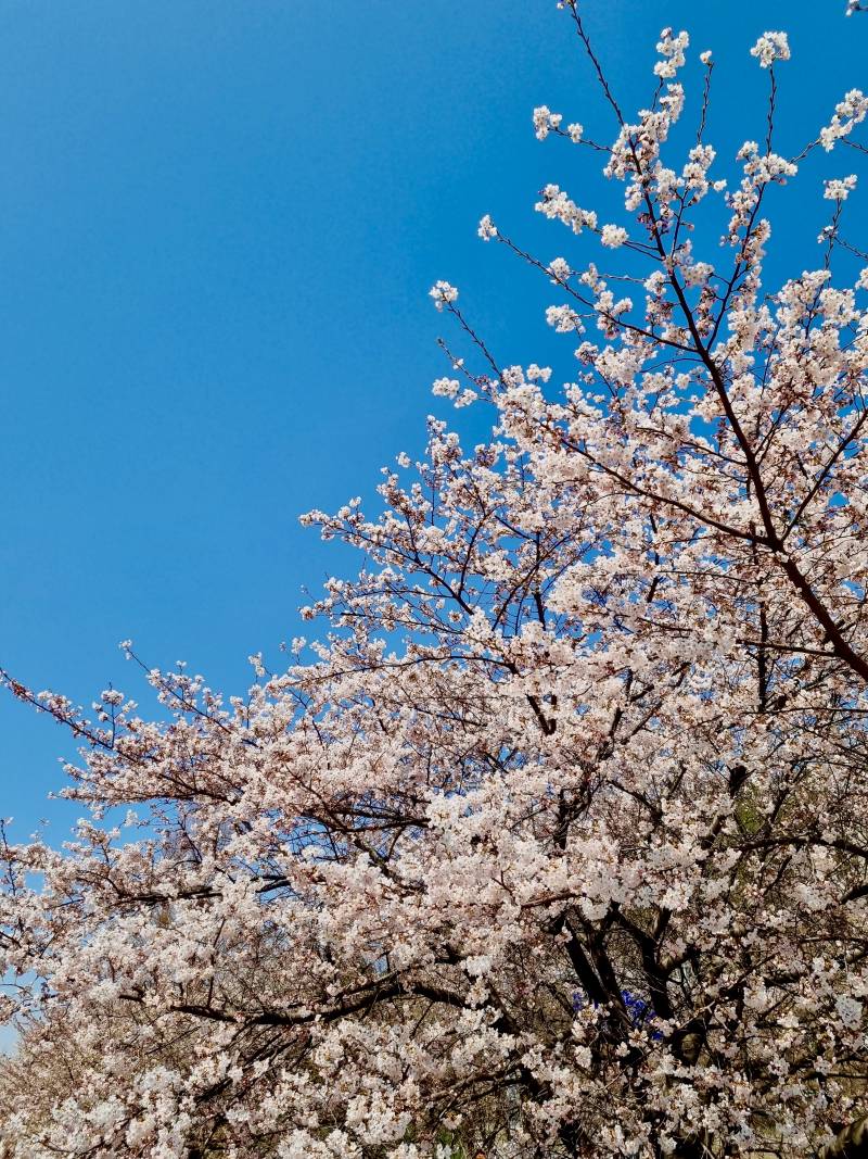 [잡담] 심심해서 보정했는데 피드백 해줄 익들🥺 | 인스티즈