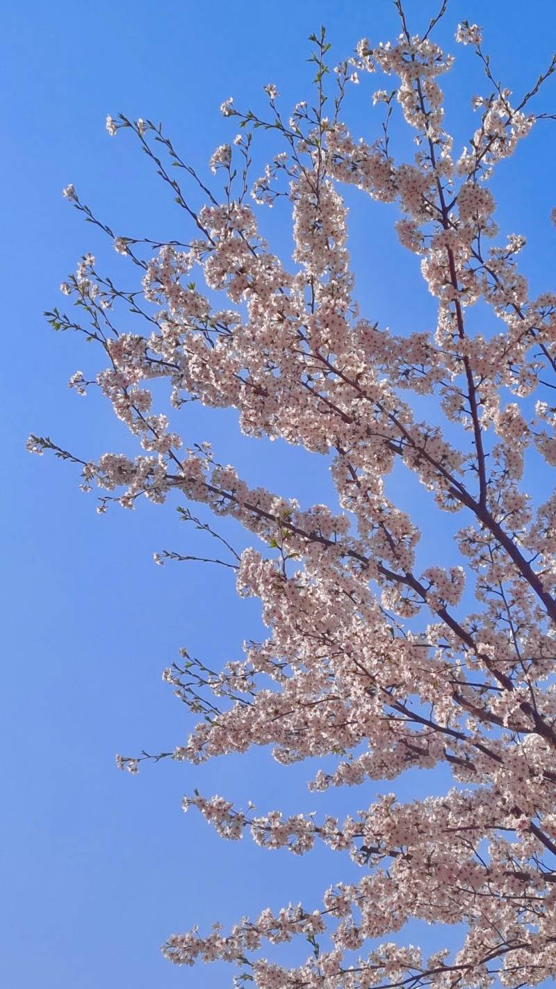 [잡담] 심심해서 보정했는데 피드백 해줄 익들🥺 | 인스티즈