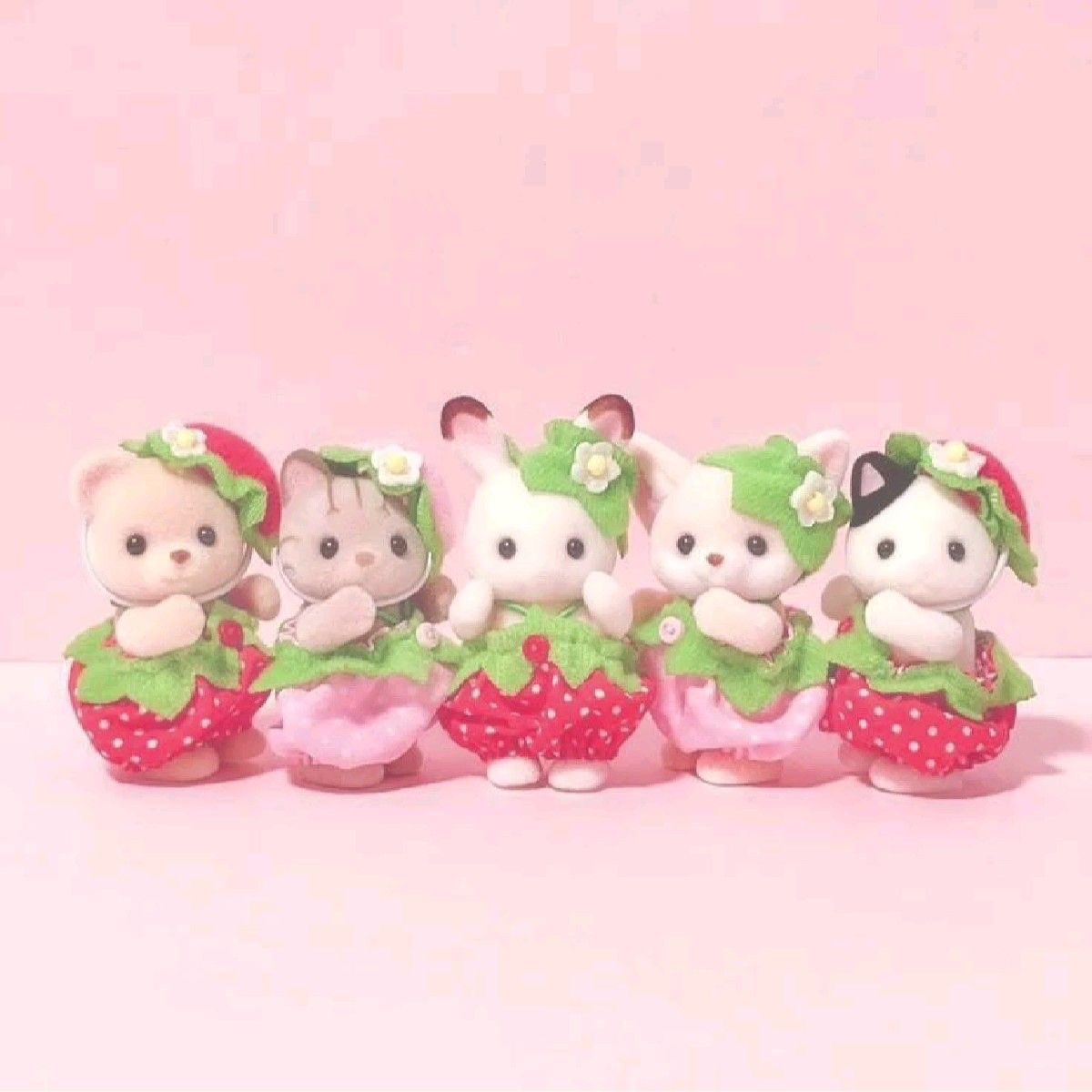 [잡담] 위시가 딸기 실바니안 가족이라네요🍓💕🪽💚 | 인스티즈