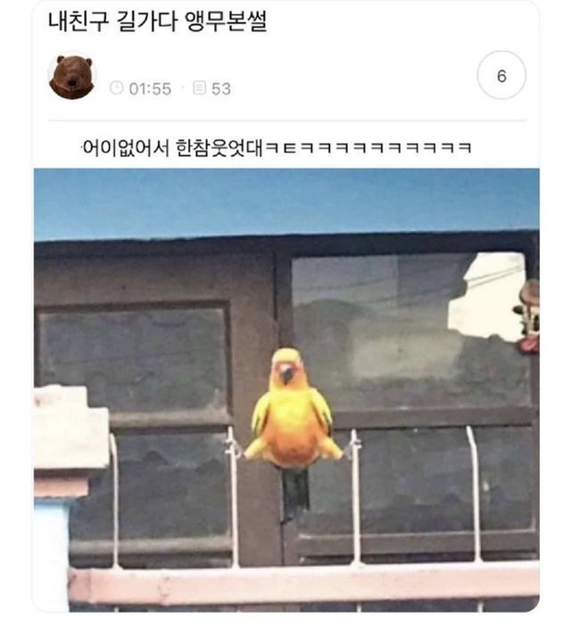 [잡담] 아닠ㅋㅋㅋㅋ 무슨 앵무새갘ㅋㅋㅋ 다리찢기를 해욬ㅋㅋㅋㅋㅋ | 인스티즈