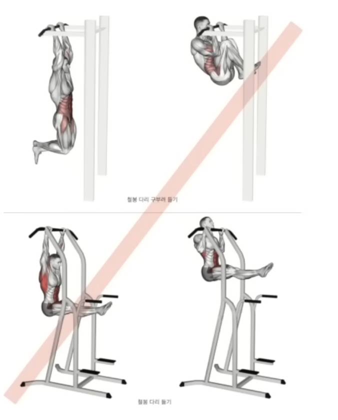 [잡담] 정선근 박사님이 말하는 '허리 안좋으면 하면안되는 운동' 목록 | 인스티즈