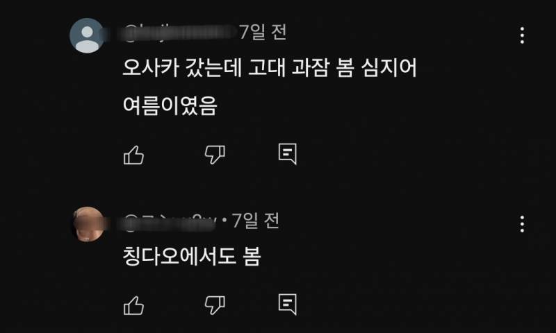 과잠입고 해외여행 가는 거 진짜 이해안됨.. | 인스티즈