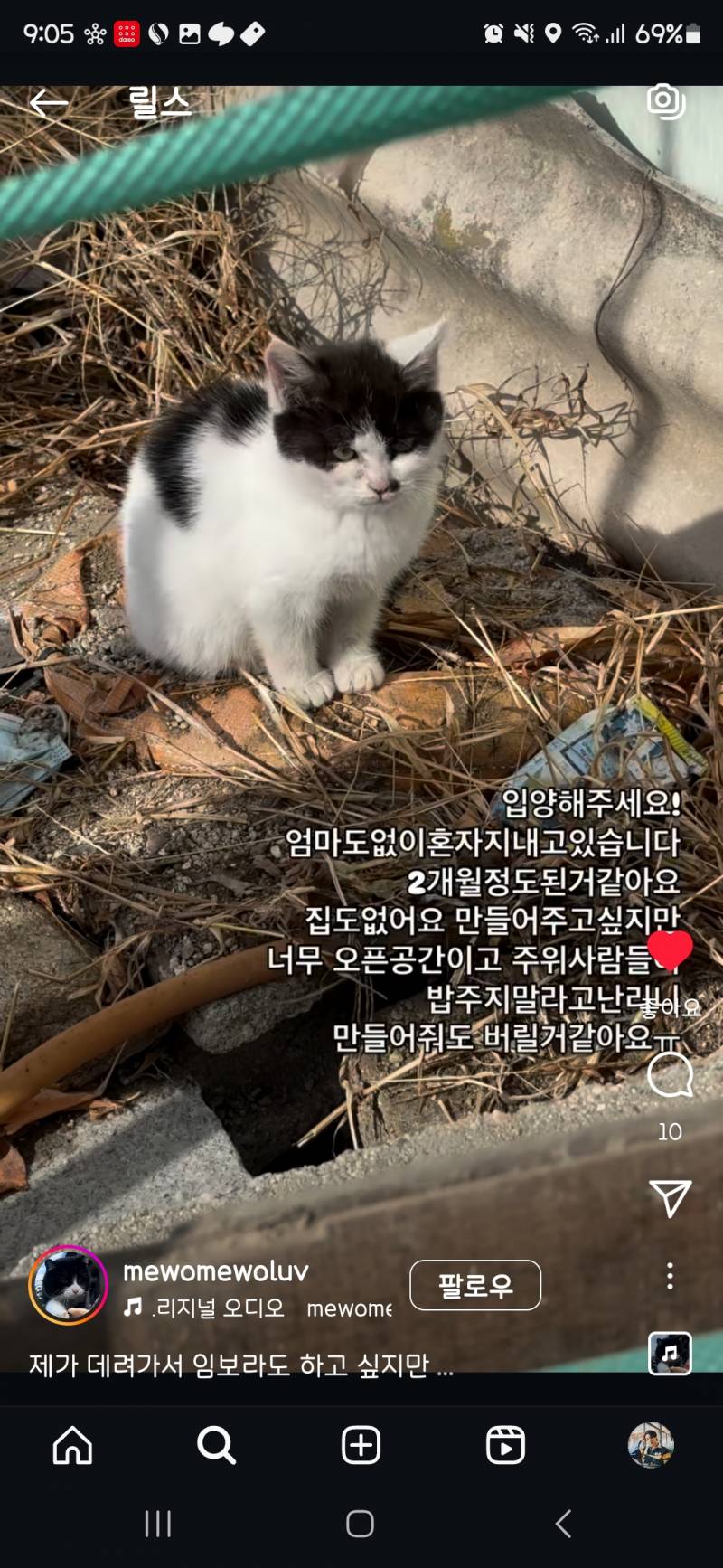 [잡담] 아가 냥이 넘 안타까워서. .🥺 (전북) | 인스티즈