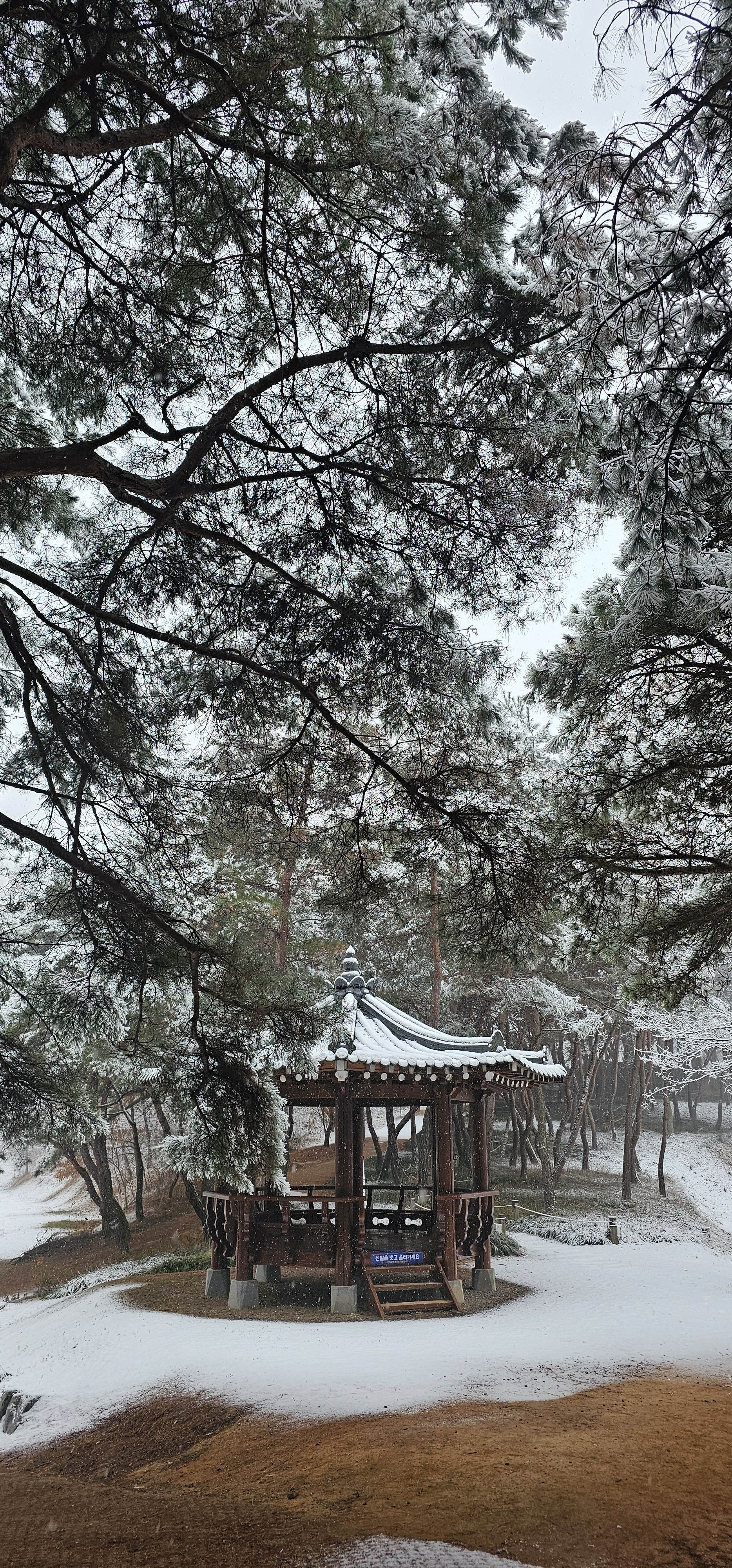 [잡담] 시골에 사는 익이 보는 풍경 | 인스티즈