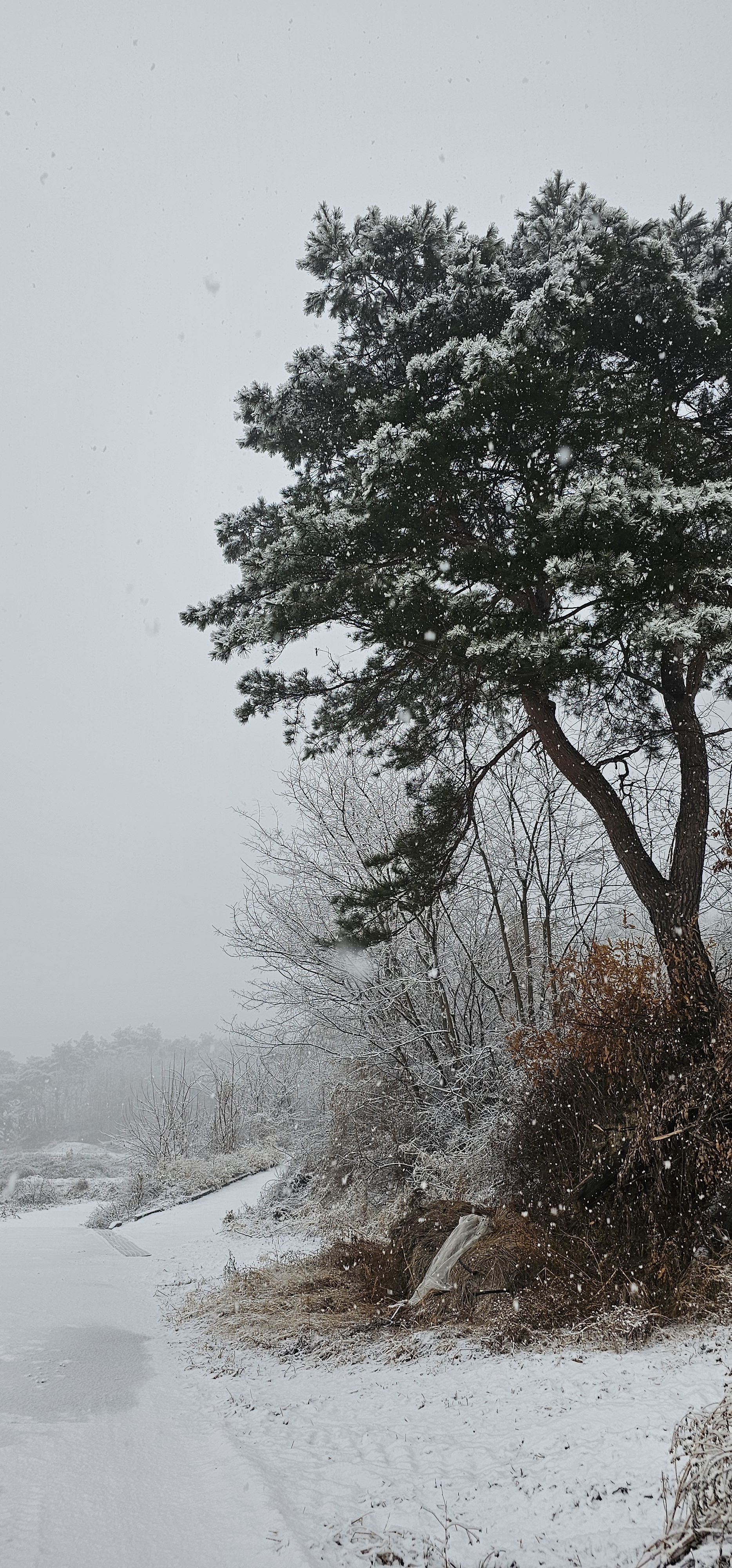 [잡담] 시골에 사는 익이 보는 풍경 | 인스티즈