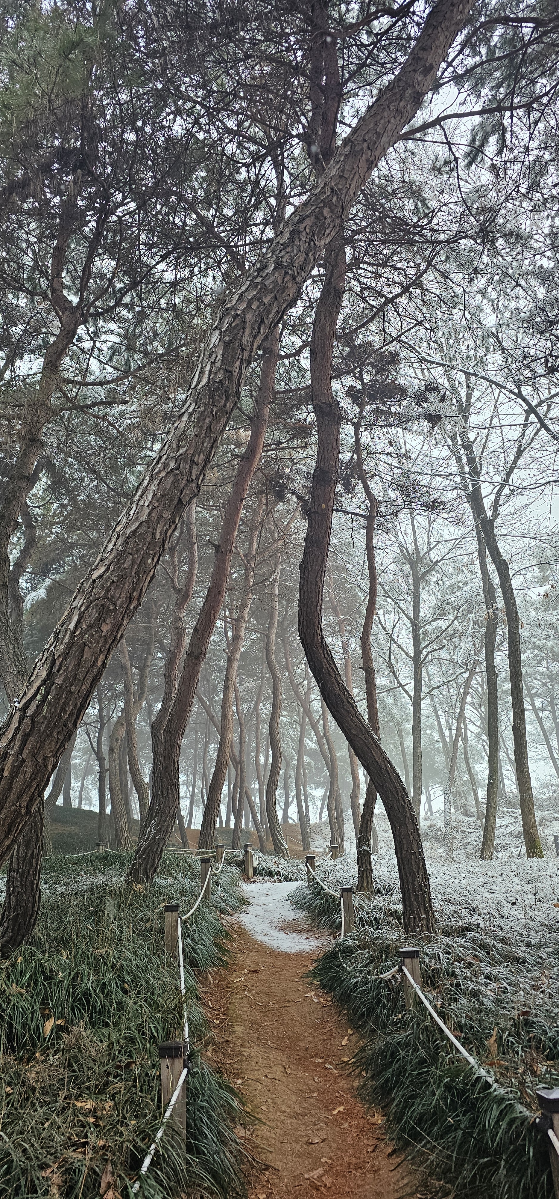 [잡담] 시골에 사는 익이 보는 풍경 | 인스티즈