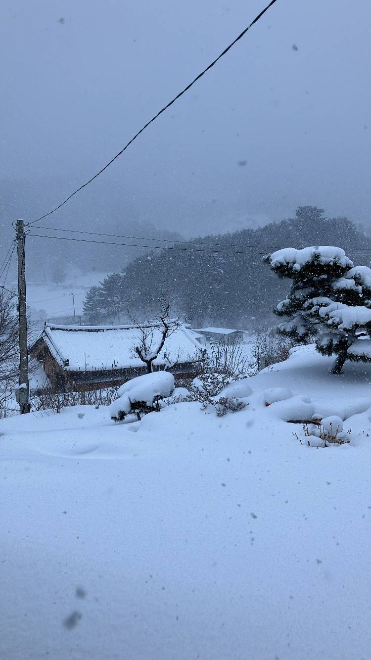 [잡담] 삿포로 부럽지 않은 본가 뷰.. | 인스티즈