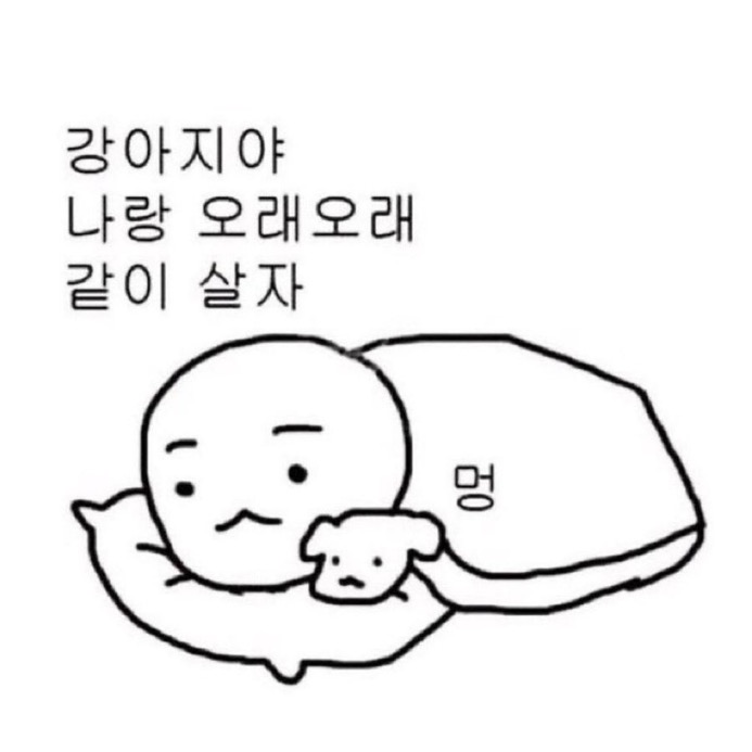 [잡담] 이제노 바보 | 인스티즈