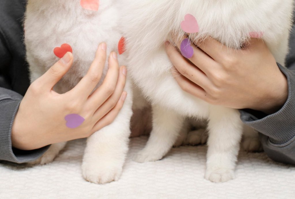 [잡담] 리우 손 예쁘다는 글 저 사진이 좀 유독 길게 나오긴 한거같음 | 인스티즈